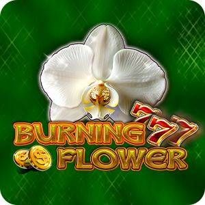 Burning Flower